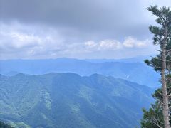 -牛背梁国家森林公园