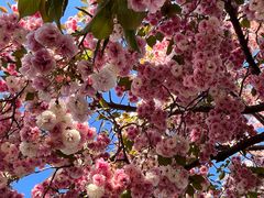 -羊亭河湿地公园