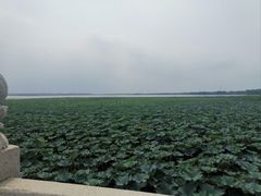 -阳澄湖半岛旅游度假区