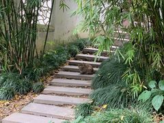 -苏州上方山国家森林公园