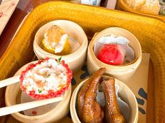 -广州都市观光巴士(粤陶巴)