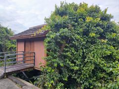 -三亚亚龙湾人间天堂鸟巢度假村