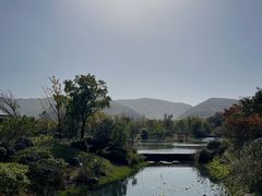-雅达·阳羡溪山小镇中心