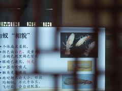 -宁波市保国寺古建筑博物馆