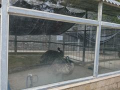 -水绘园