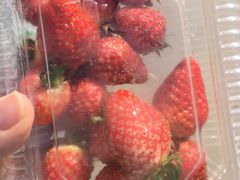 -杨柳青园艺科技博览园