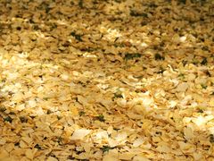 -千年银杏谷文化旅游区