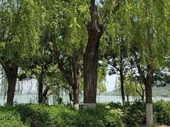 -云龙湖旅游景区