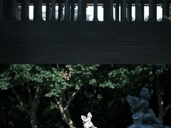 -蠡湖中央公园