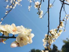 -广州市白云山风景名胜区