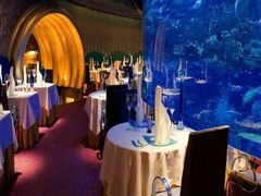 -迪拜帆船酒店海底餐厅