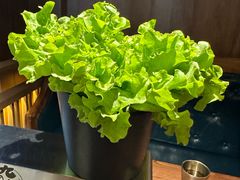 -九田家黑牛烤肉料理(新辰里亚运村店)