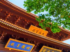 -亭林园-华藏寺