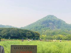 -八卦田遗址公园