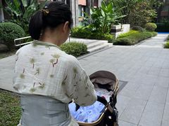 -田螺阿姨自营月嫂·育儿嫂(高新店)