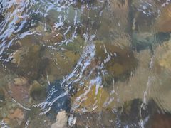 -丁香湖公园