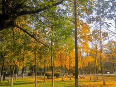 -大明宫国家遗址公园·御道广场