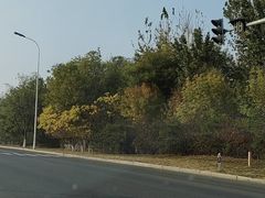 -西青郊野公园