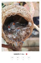 -Zoolung Zoolung动物主题公园(海信广场店)