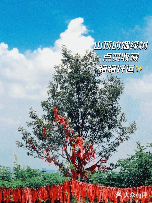 九真山风景区图片