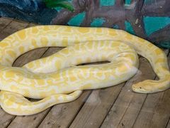 -石家庄市动物园