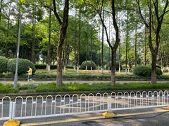 -后襄河公园