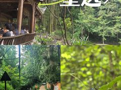 -凤栖山