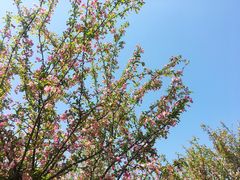 -桤木河湿地公园