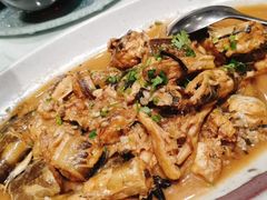 -海派美食·家宴海鲜青岛菜·石锅鲽鱼头(东方城店)