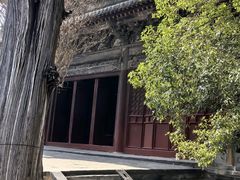 -报恩寺(平武县)
