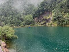 -大奇山国家森林公园