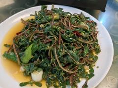 马齿苋-李柱·柘城垛子羊肉旗舰店(通泰路店)