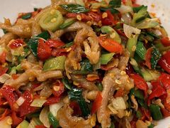 鸭掌筋-壹盏灯(蚂蚁工房店)