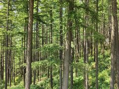 -驼梁风景区