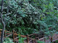 -大岭沟猕猴桃谷风景区