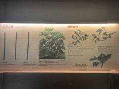 -海南槟榔谷黎苗文化旅游区