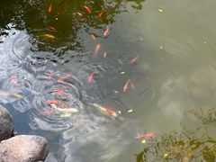 -海南文笔峰盘古文化旅游区