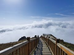 -白草畔自然风景区