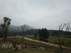 -大姆山草场