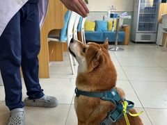 -美迦爱-牙专科·兔科·骨科诊疗中心(北苑店)