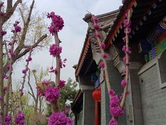 -后海公园