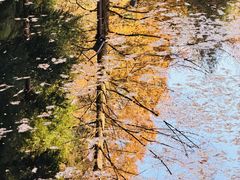 -山王坪喀斯特国家生态公园