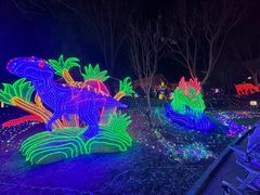 -南宫五洲植物乐园