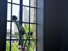 -滇野云南野生菌餐厅(陕西南路店)