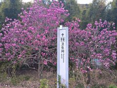 -广州市石门国家森林公园