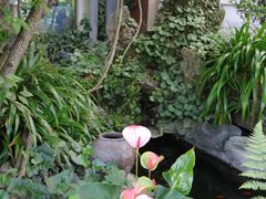 -谷咖啡·鲜花绿植花园餐厅