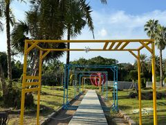 -东南花都花博园