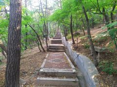 -北岭山森林公园