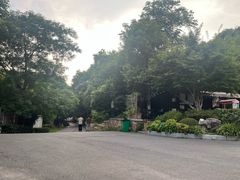 -龟山风景区-龟山电视塔