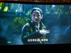 -枫花园汽车电影院(朝阳公园店)